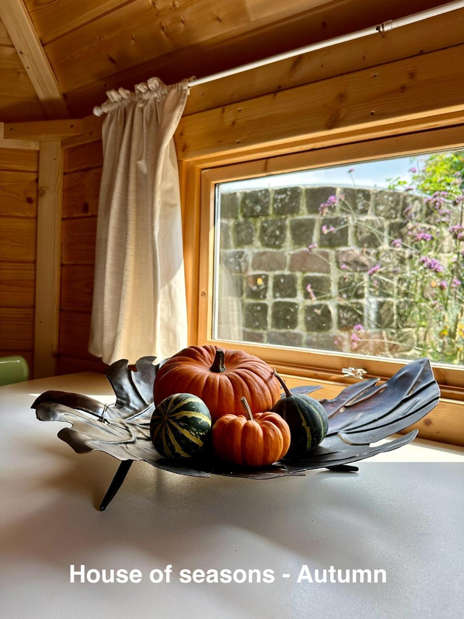 Alblasserdam B&B Cosy Garden الغرفة الصورة